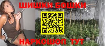 гашик Новозыбков