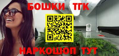 наркотики Новодвинск