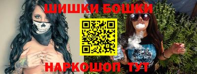гашик Новозыбков
