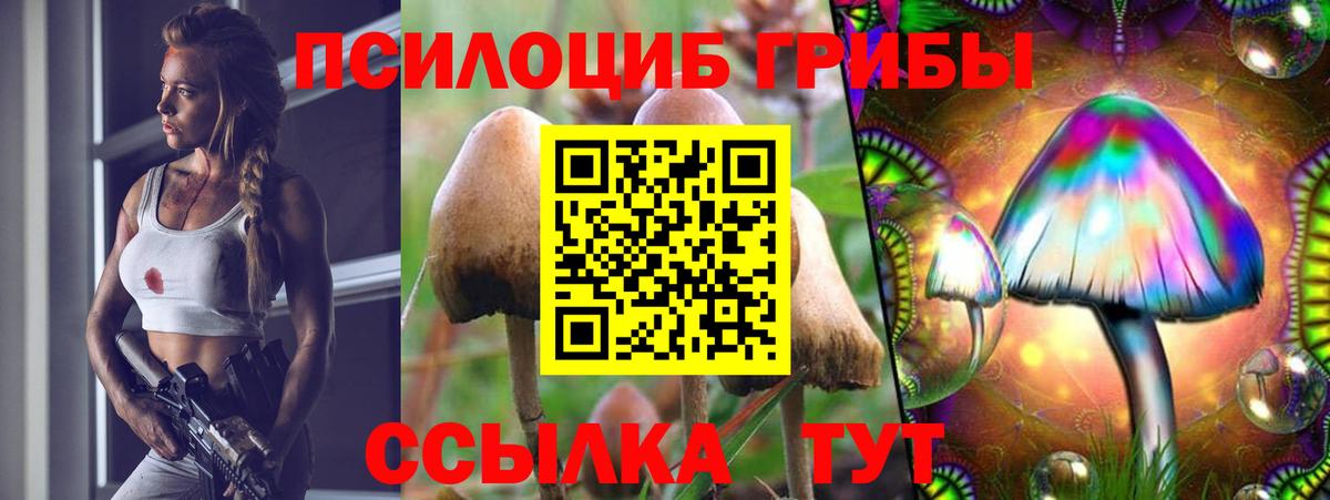 Северск  Галлюциногенные грибы Magic Shrooms  Вход с VPN  Псилоцибиновые грибы Magic Shrooms 